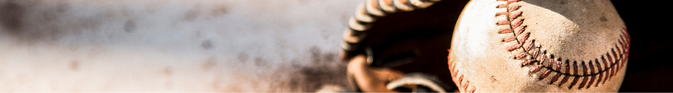 Entrenamiento Aplicado al béisbol