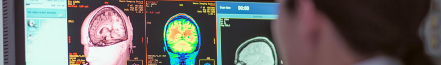 Máster en Neuroeducación y Bienestar Socioemocional